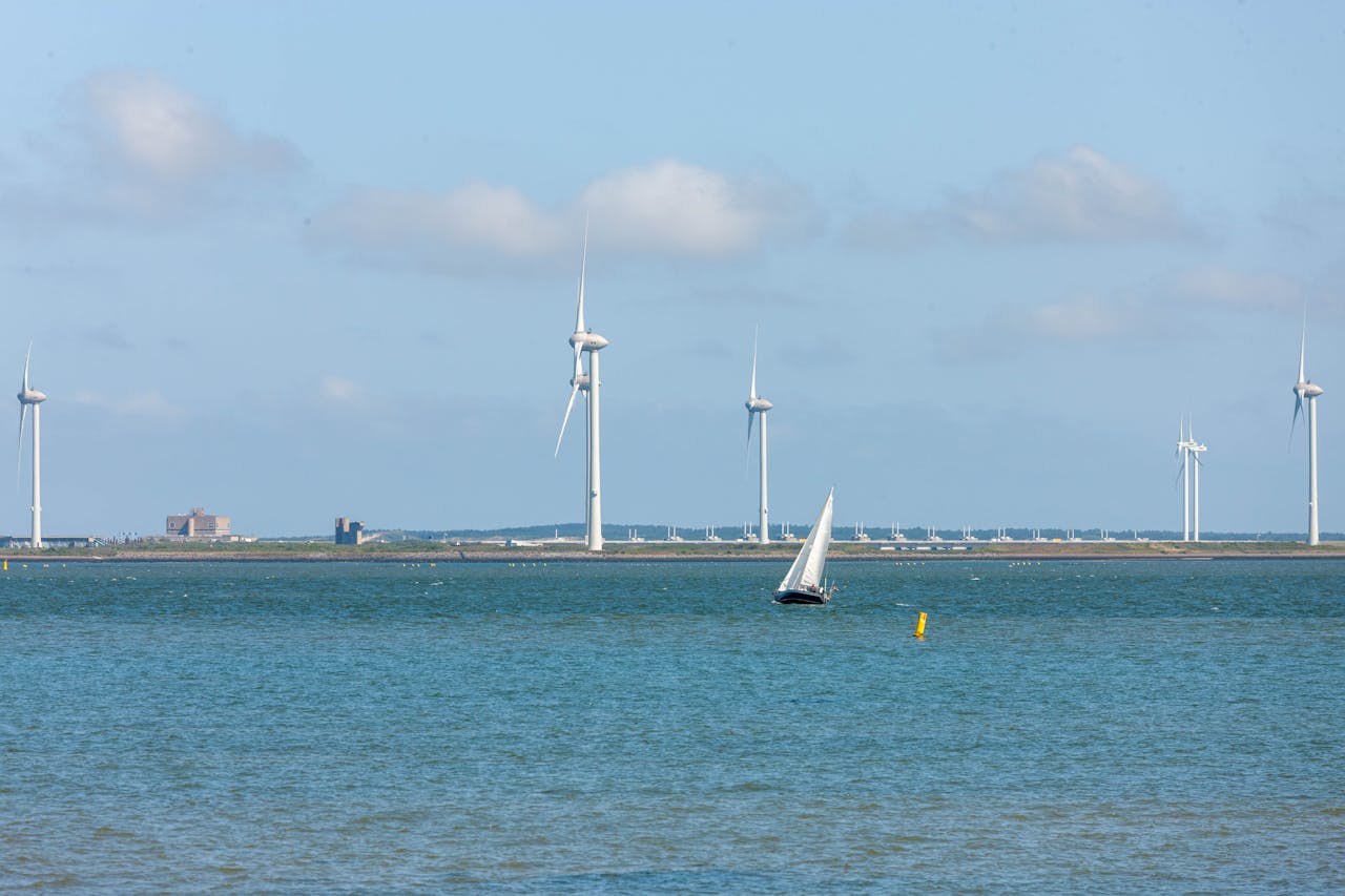 A sailboat glides near offshore wind turbines under a bright sky, highlighting renewable energy in a coastal setting.