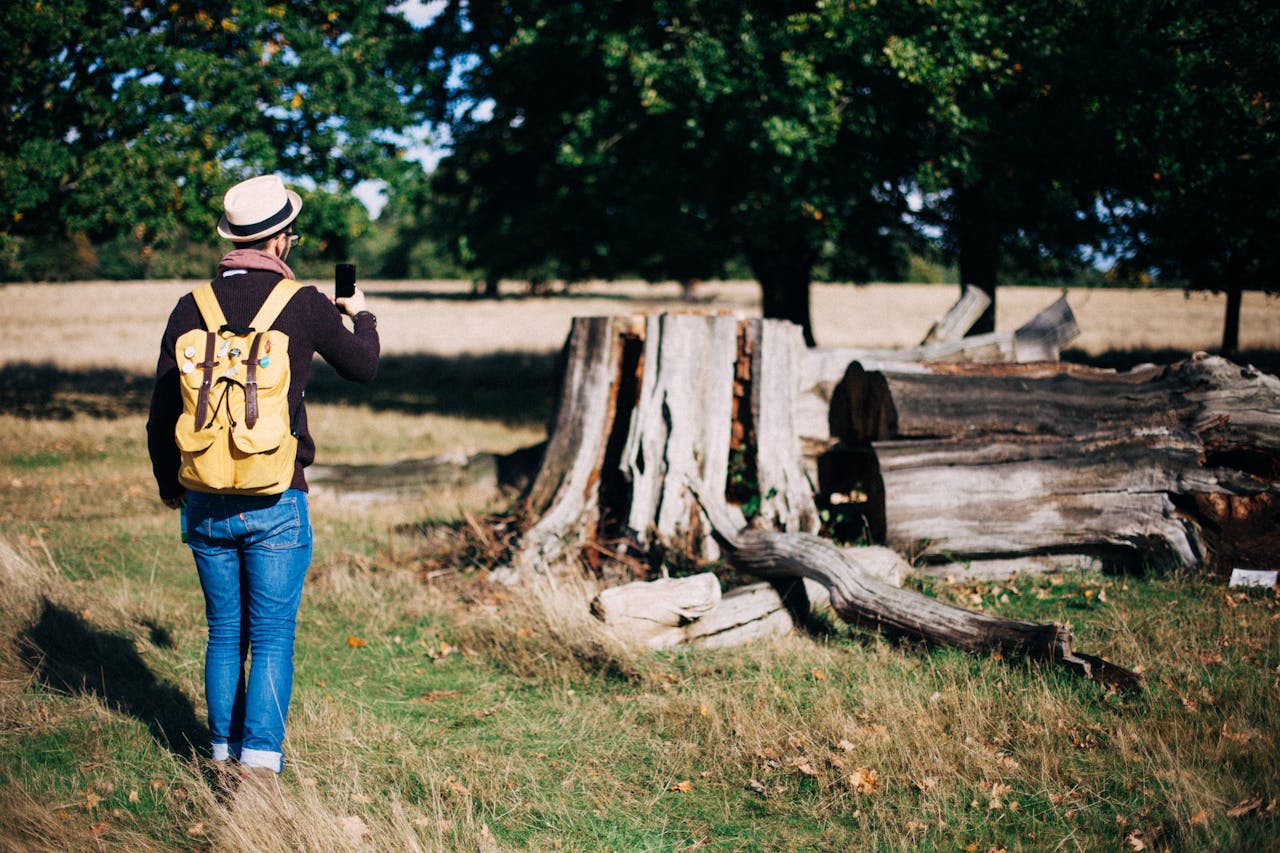 services-04 A man with a hat and backpack takes a photo of tree trunks in a sunny meadow.