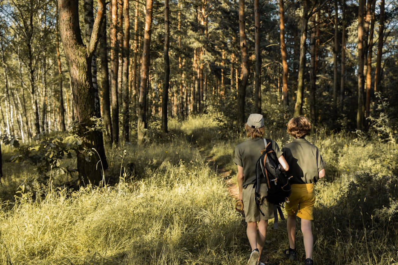 Two boys with backpacks walking through a lush, sunlit forest path in summer.